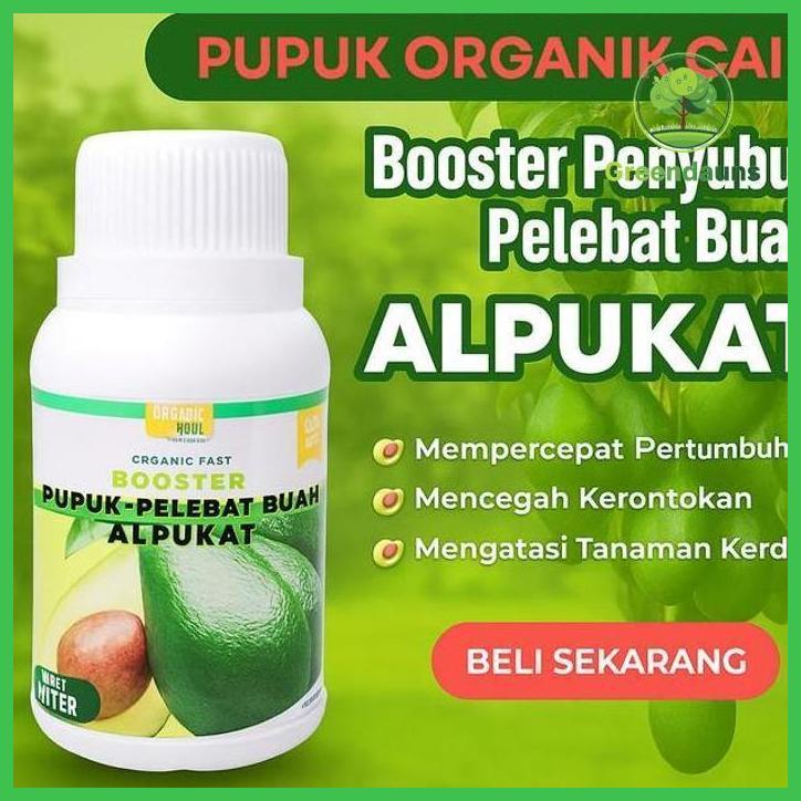 PUPUK BUAH ALPUKAT CEPAT BERBUAH / PUPUK ALPUKAT ANTI RONTOK / PUPUK ALPUKAT CEPAT BERBUAH / PUPUK A