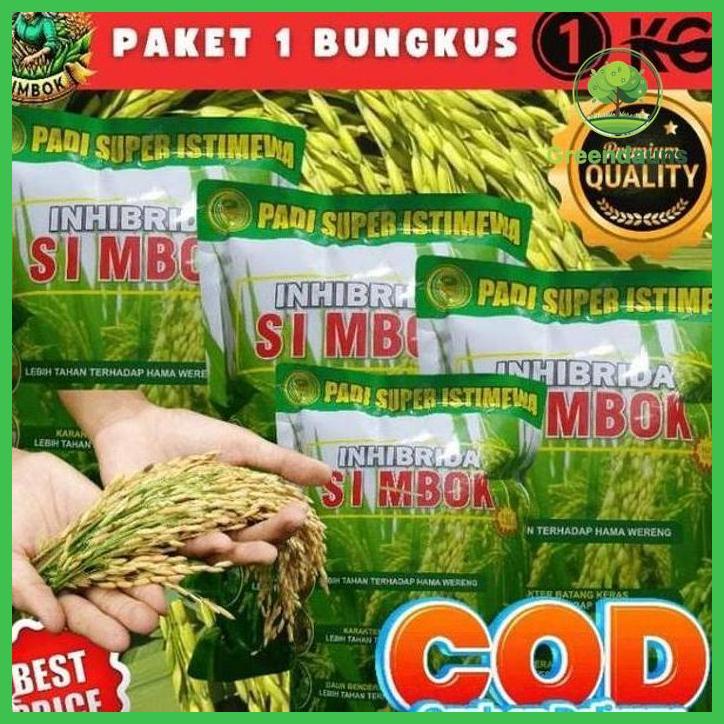 BIBIT PADI UNGGUL SIMBOK UMUR PENDEK ORIGINAL 1KG USIA 85-90 HST EXP 0626 BENIH UNGGUL SIMBOK BENIH 