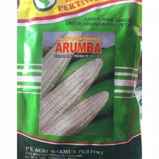 Expert- benih / bibit jagung pulut manis ARUMBA