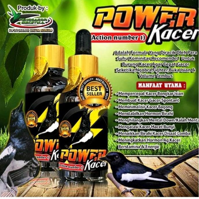 Britis- Power Kacer Juara Lomba  Suplemen Penggacor Burung Seketika