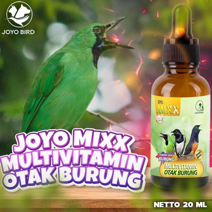 TERBARU - VITAMIN OTAK | MULTIVITAMIN OTAK | VITAMIN  BURUNG CERDAS & PINTAR | DAYA INGAT BURUNG |  