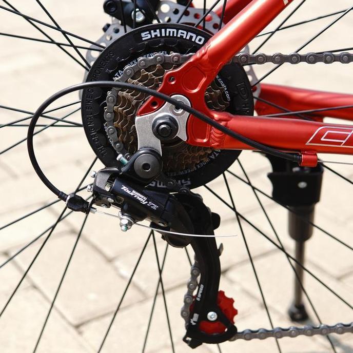 Terlaris Sepeda Celcius Balap Roadbike Luxe 700C Ukuran 50