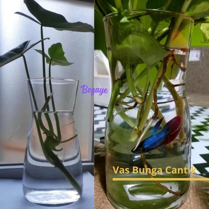 BIG SALE KARAF VAS BUNGA KACA 1 LITER - COCOK UNTUK MINUMAN & HIASAN RUMAH - TINGGI 20 CM DIAMETER 1