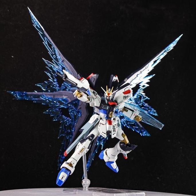 Gaoke 201 Hg 1/144 Strike Freedom Revive Fighter Mode Kit