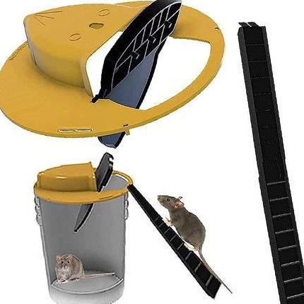 Perangkap Tikus Ampun. Jebakan Tikus Ember