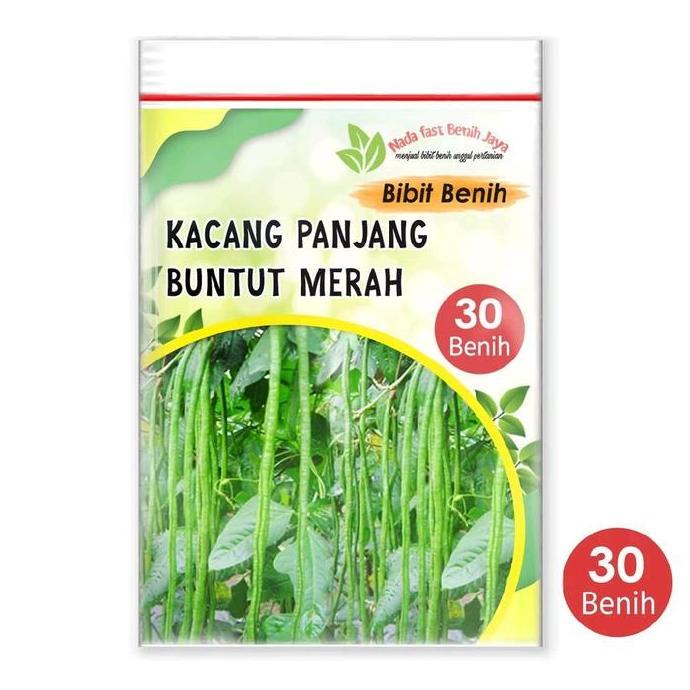 30 Biji benih kacang panjang buntut merah - Bibit kacang panjang super tanaman sayur