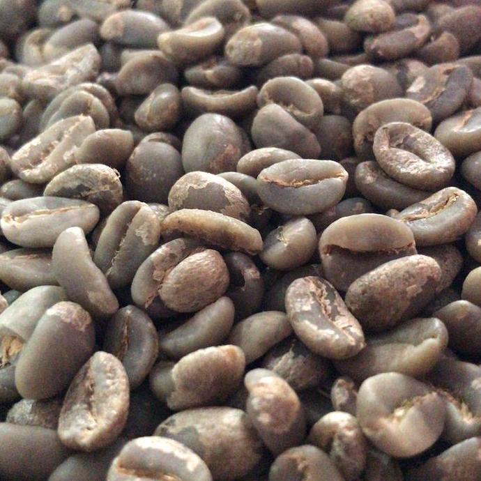 greenbean biji kopi arabika Papua yahukimo
