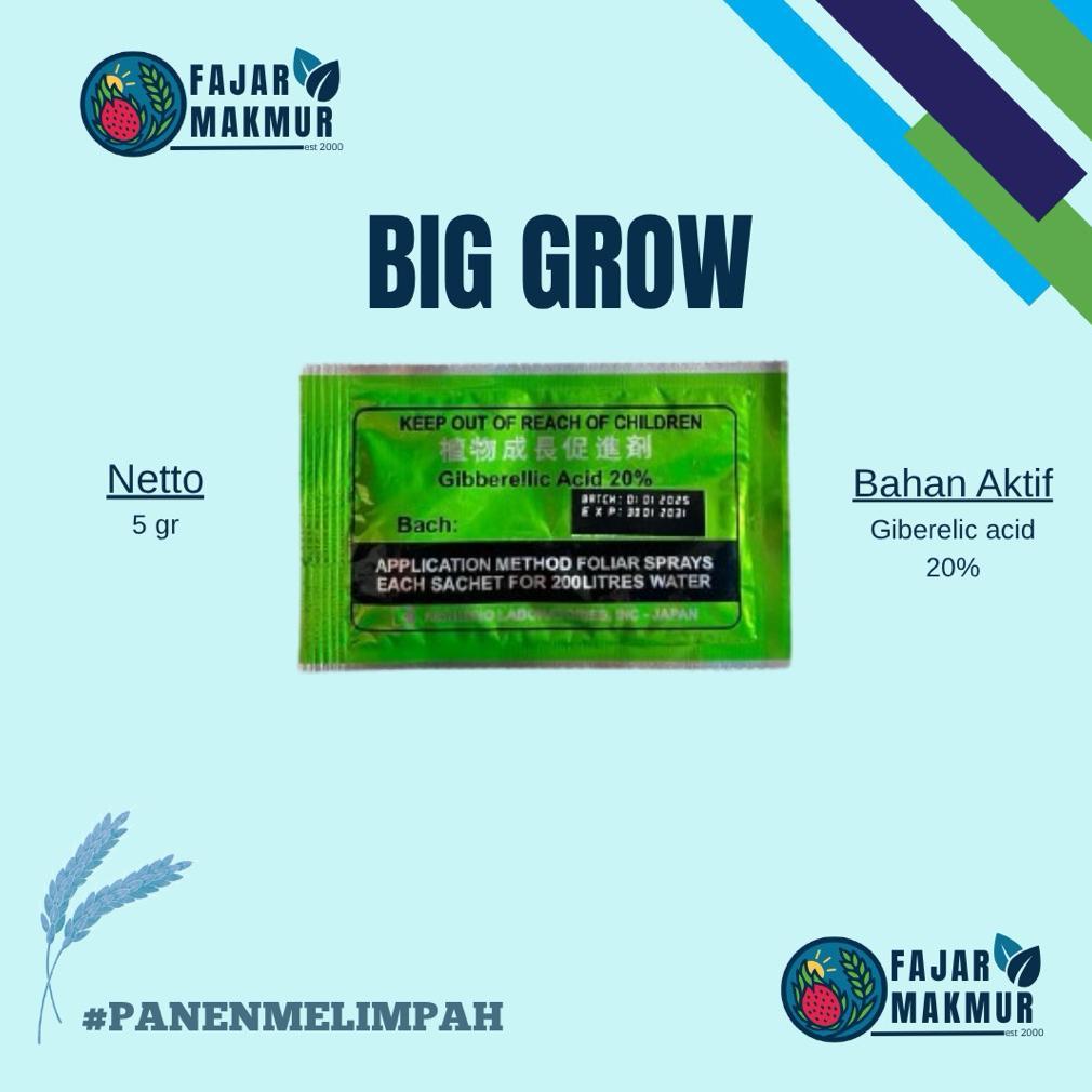 Promo Cod Ya Kak Big Grow Gibberelic Acid 20 %. Zpt Pembesar Buah >>