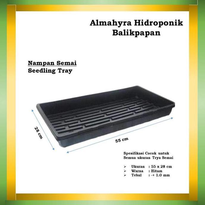 ] Alas Tray Semai- Nampan Semai