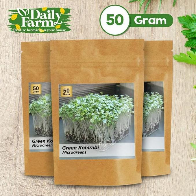 Benih Sayur Microgreen Green Kohlrabi Microgreen ( 50 Gram )