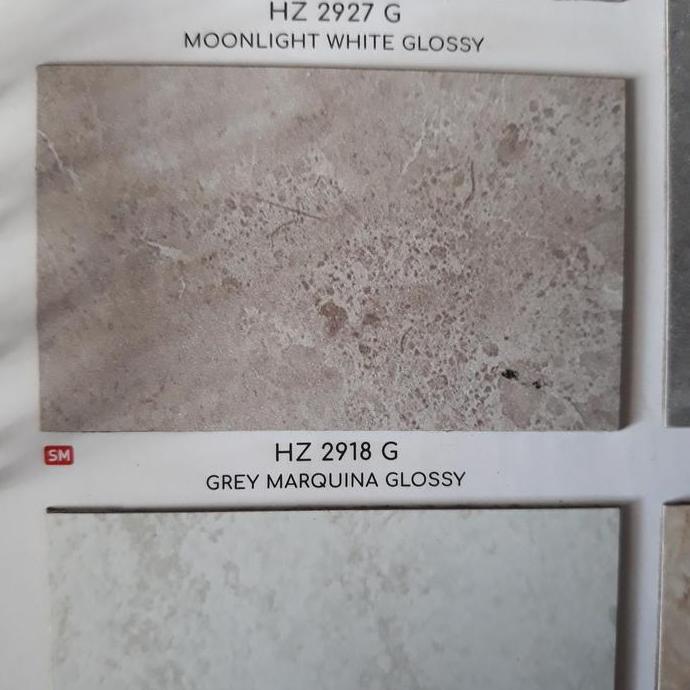HPL Homega HZ 2918 G GREY MARQUINA GLOSSY