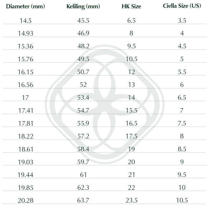 Ciella & Co - Pamela Wedding Band Ring Cincin Couple Moissanite
