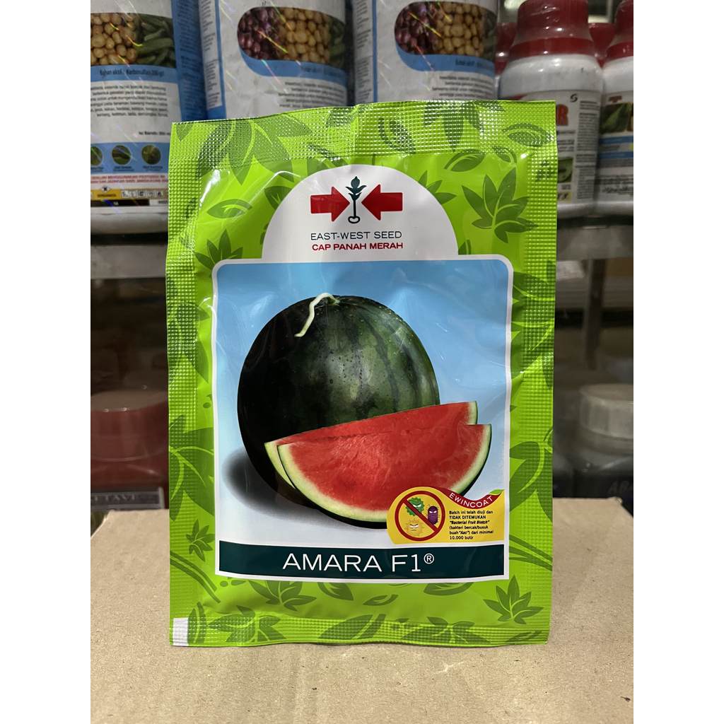 Benih Bibit Semangka Amara F1 Original
