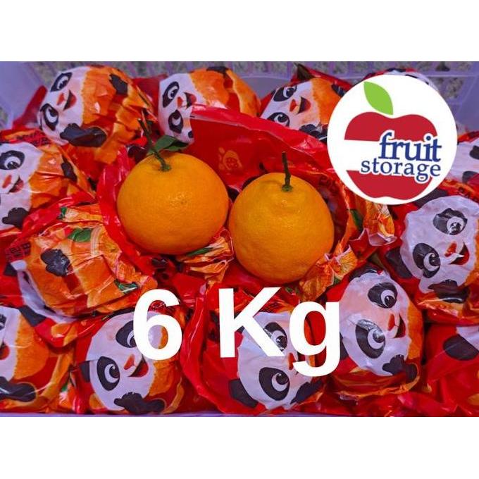 Jeruk Dekopon / Chunjian / Papagan Jeruk Mandarin