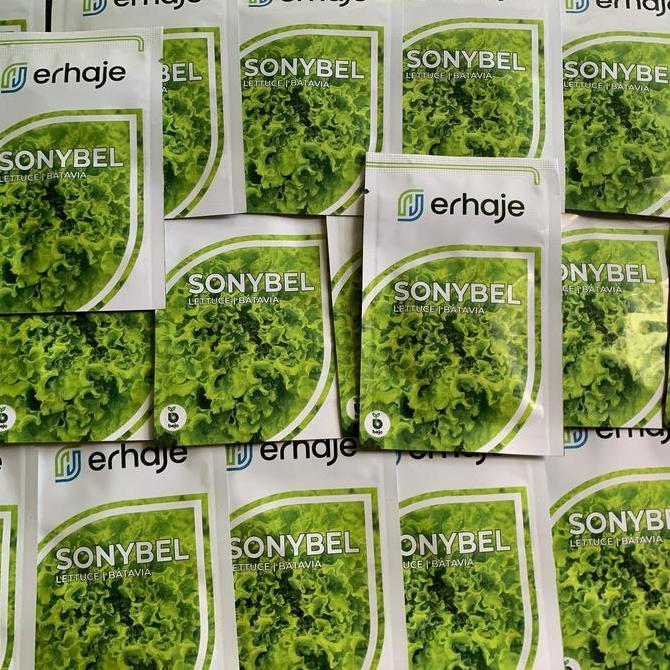 Gaerdenpic- Benih Selada Batavia Sonybel Bejo Seed
