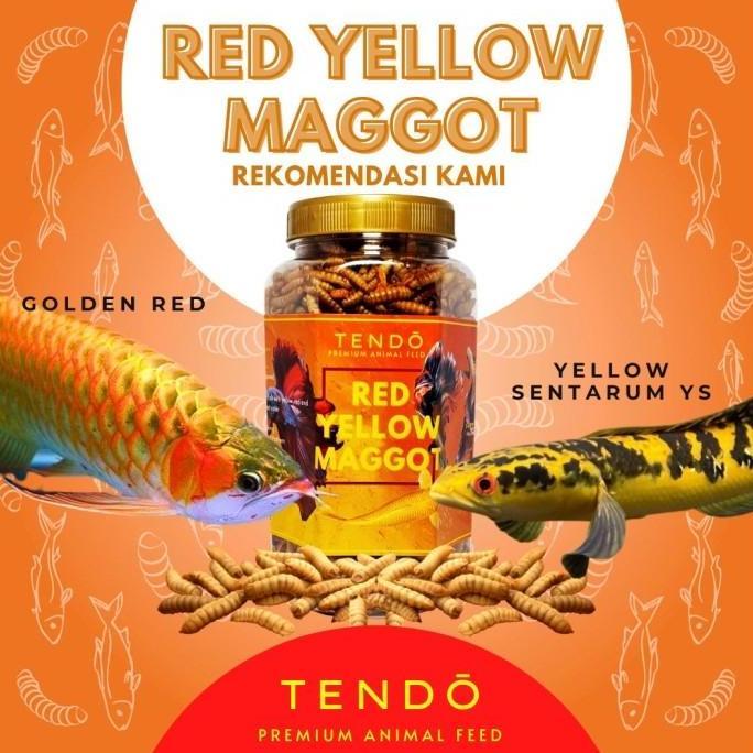 Fishtoday- Maggot Bsf Maggot Kering Pakan Makanan Ikan Koi Predator Tendo
