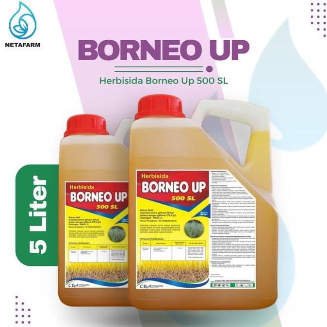 *$*$*$*$] HERBISIDA BORNEO UP 500 SL PEMBASMI ANEKA GULMA - 5 LITER