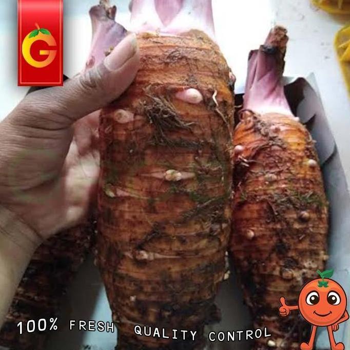 Veganxi- Talas Ungu Pontianak 1 Kg