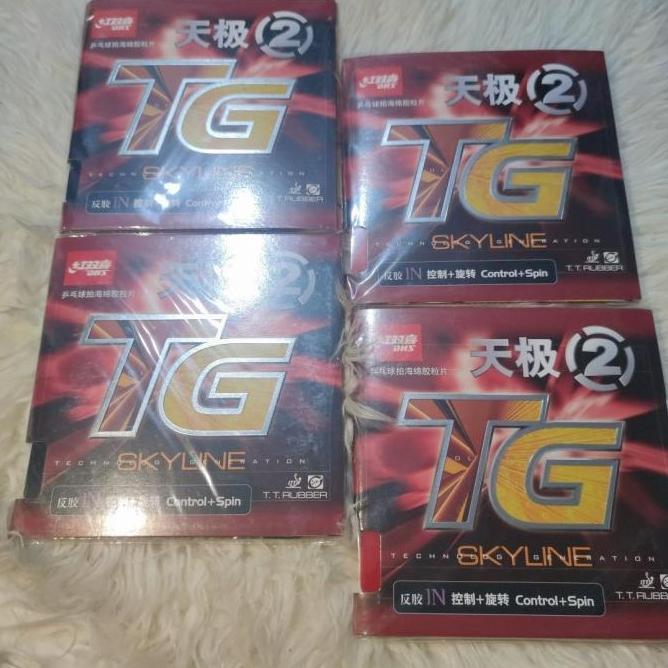 KARET TENIS MEJA DHS SKYLINE TG2