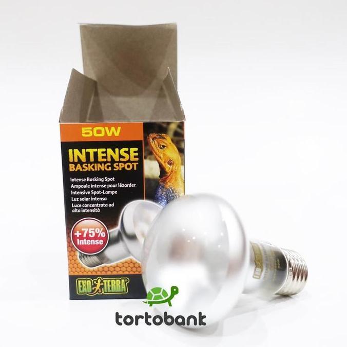 LAMPU UVA EXOTERRA INTENSE BASKING SPOT 50W - LAMPU REPTIL - LAMPU KURA DARAT - LAMPU TORTOISE - LAM