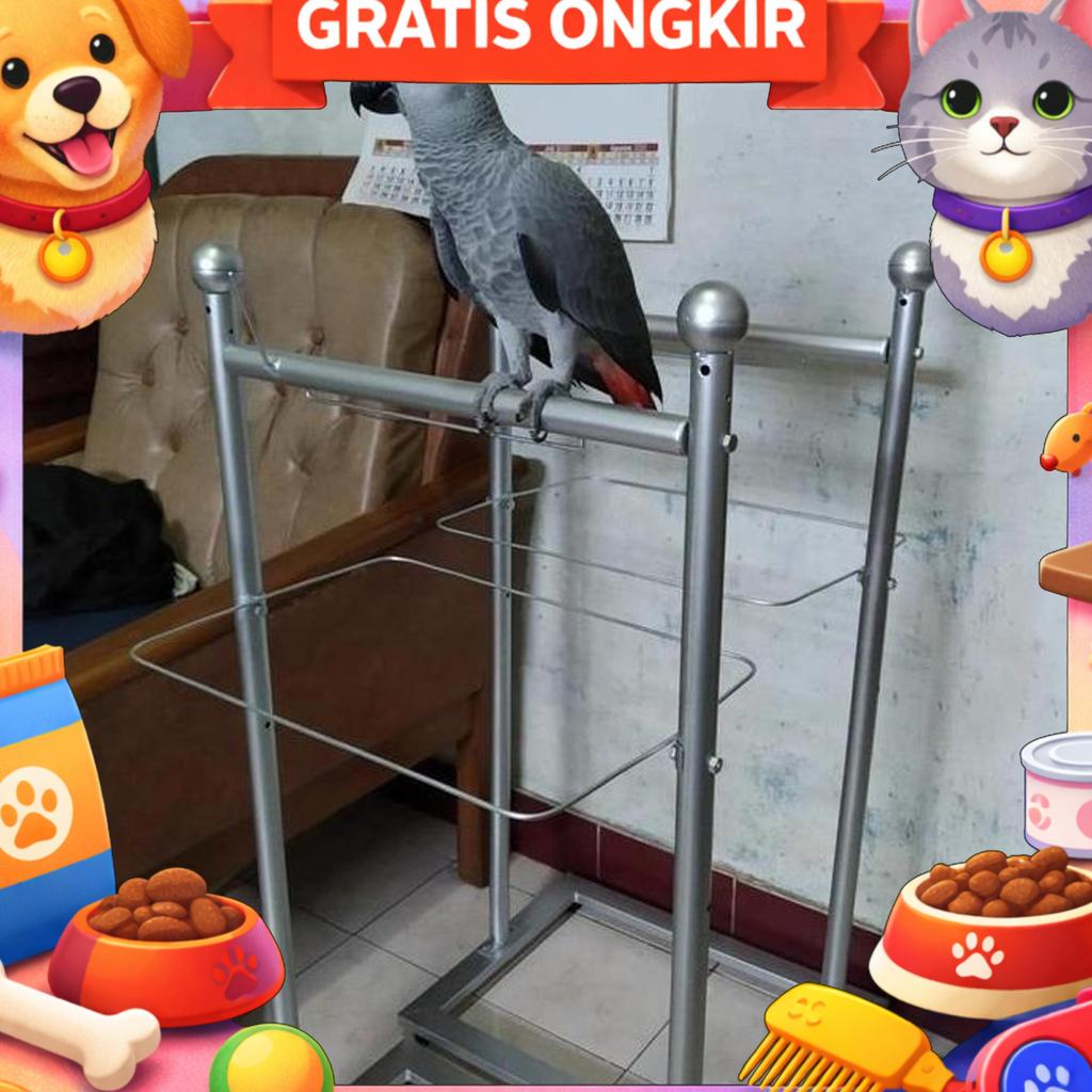 Tangkringan Pangkringan Burung Parrot Kakatua Africran Grey Hans Macaw