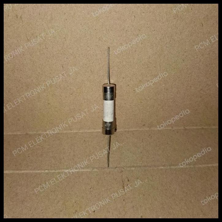 GRATIS ONGKIR 8090 FUSE SEKRING KERAMIK CERAMIC 3.15A 3,15A T3.15AH250V ADA KAKI 