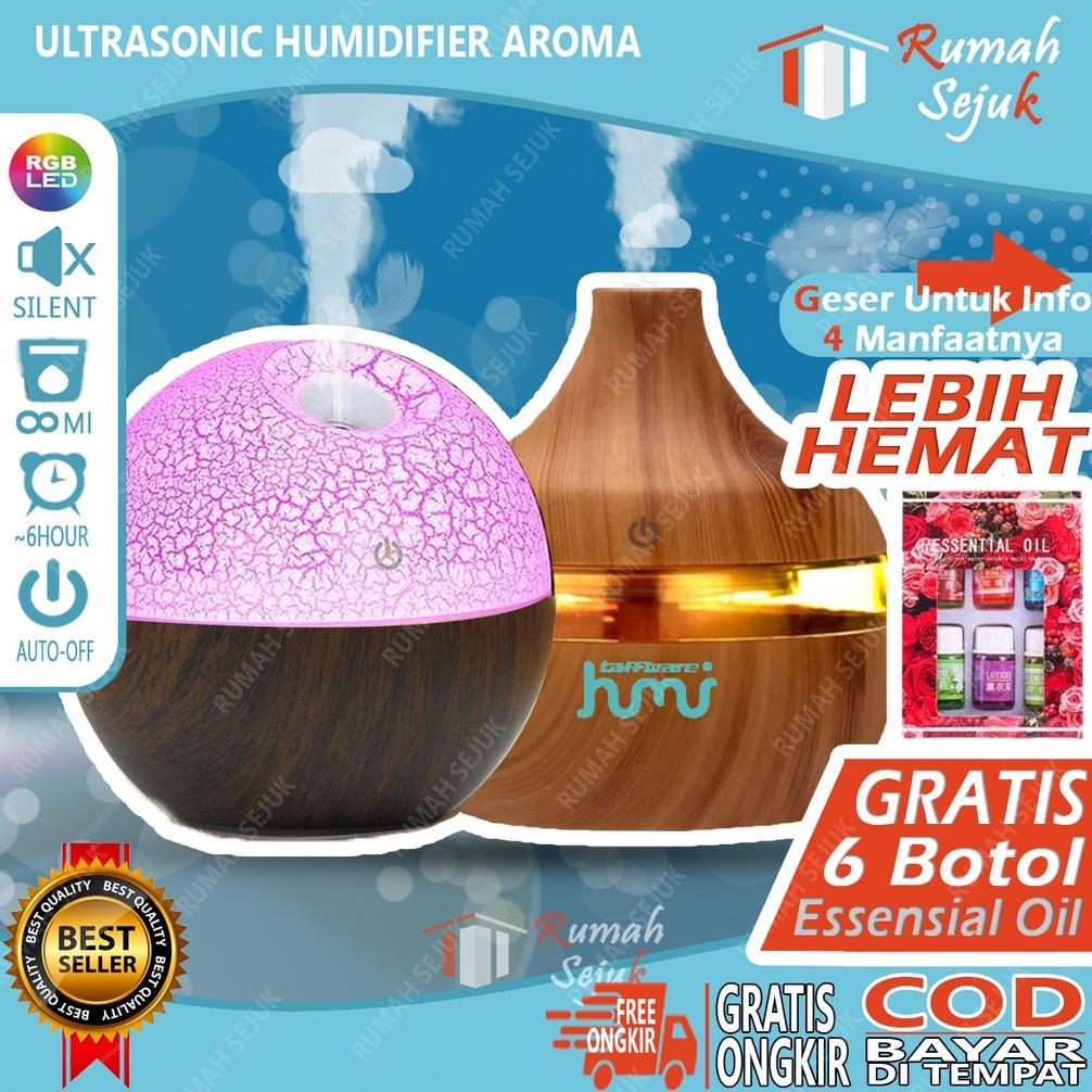 RS - Air Humidifier Diffuser Aromaterapi Alat Pengharum Ruangan Difuser Disfuser Unik Lucu RS-H1 Hum