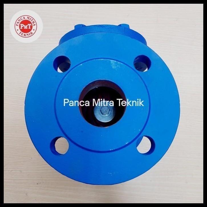 TERLARIS SWING CHECK VALVE 2" INCH CAST IRON PN16 / CHECK VALVE PN16 DN50