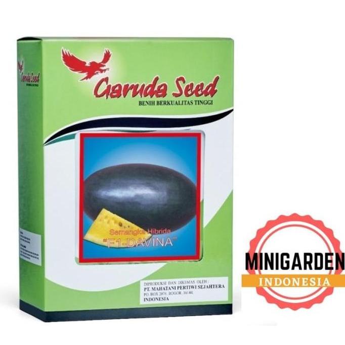 SEMANGKA INUL KUNING DAVINA 10 biji bibit buah semangka kuning