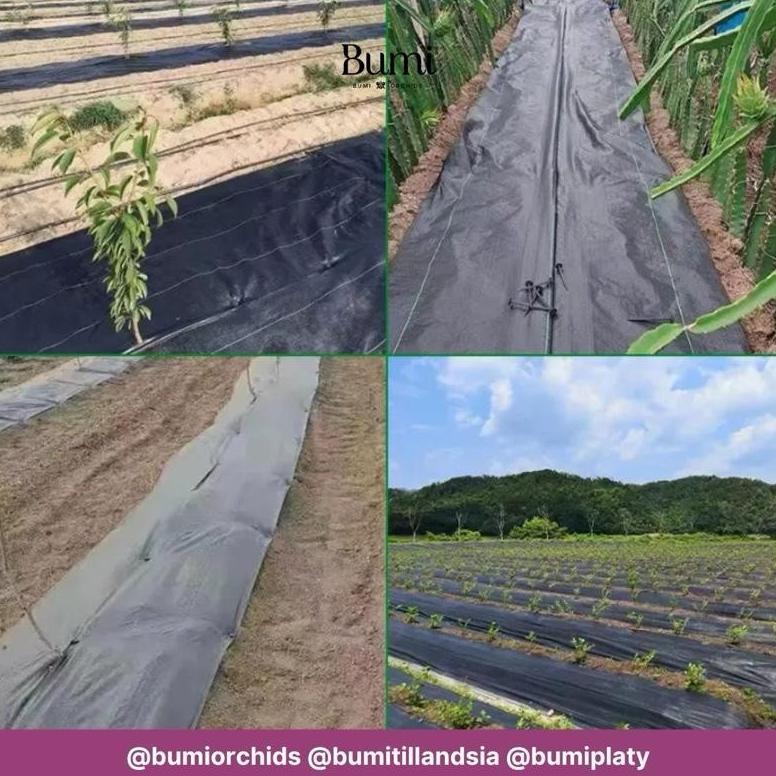 Promo Cod Bumi Orchids Paku Weedmat (1Pcs) 11 - 16 - 20 Cm Pasak  Plastik Penutup Mulsa Terpal Rumpu
