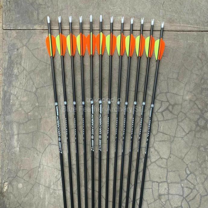 TERLARIS Anak Panah Elong Carbon