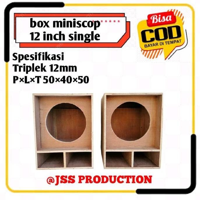Box Speaker 12 Inch Miniscoop single