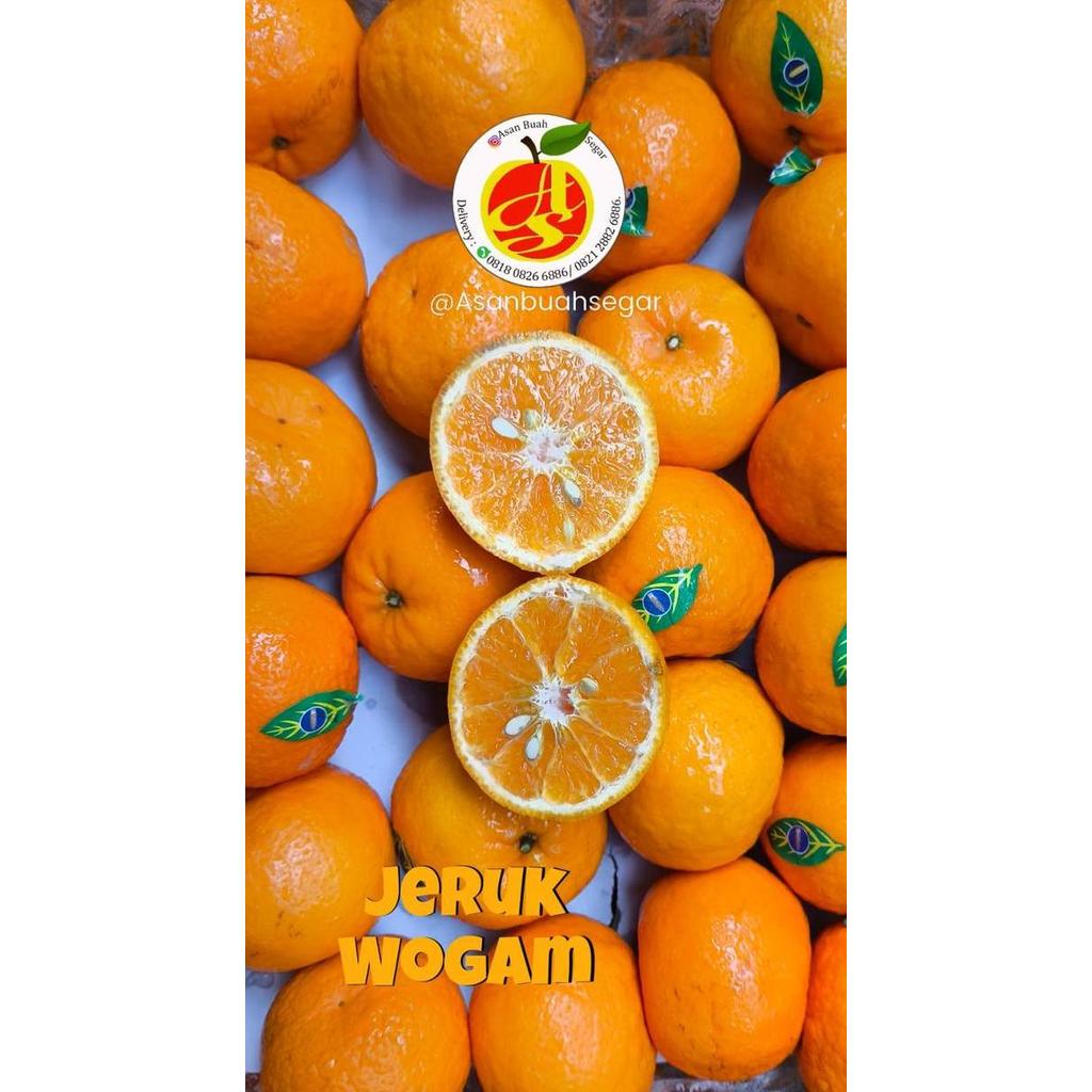buah jeruk ponkam taiwan ponkan honey mandarin hampers imlek gift pack CM