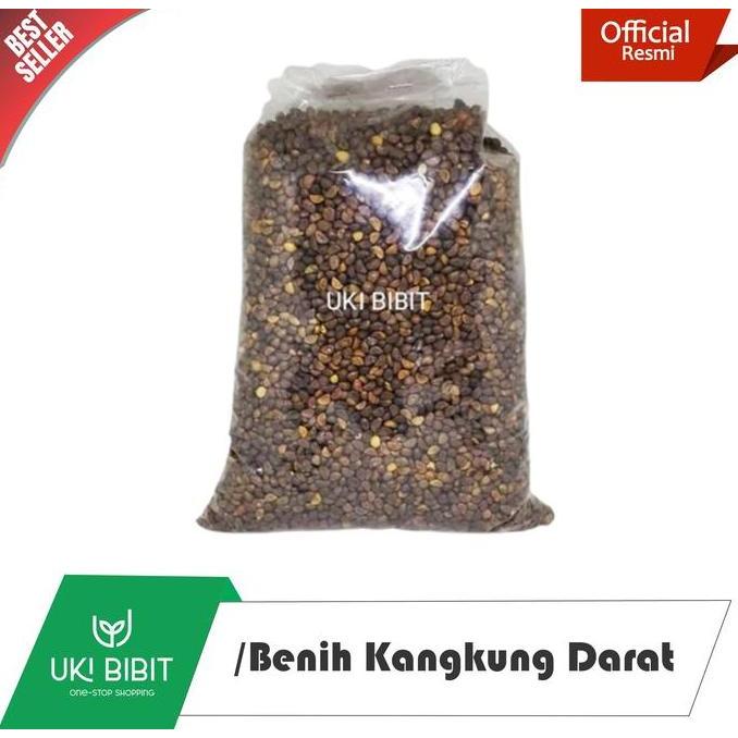 PROMO ( 1 Kg ) Benih Biji Kangkung Darat | Kangkung Cabut Curah | Microgreens