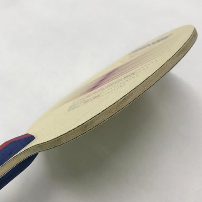 Donic Esprit Carbon / Bet Tenis Meja Pingpong