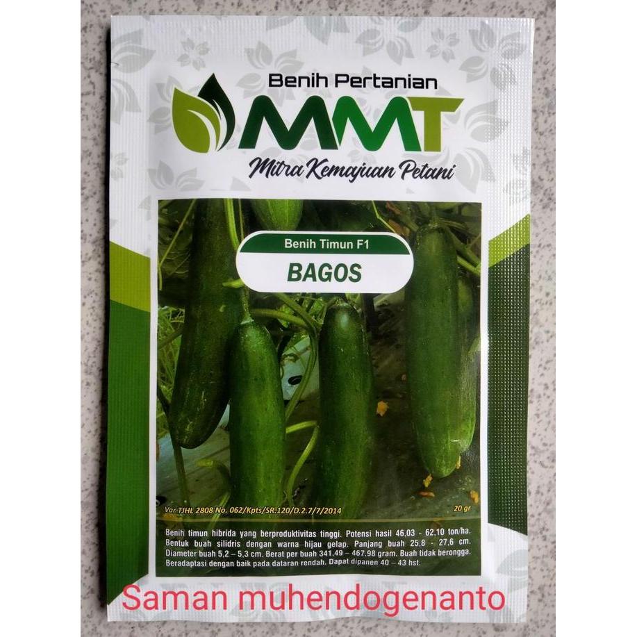 PROMO Benih Timun F1 BAGOS MMT SEED 20 Gram - Bibit Timun BAGOS BAGUS Ketimun Mentimun