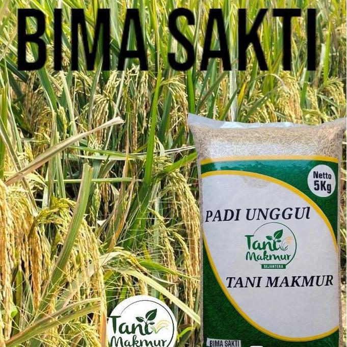 PROMO Benih Padi Bima Sakti 5kg - Tani Makmur Original