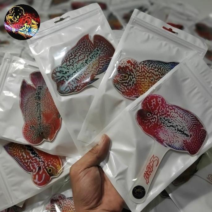 Catbull- Wayang Louhan Wayangan Untulan Ikan Louhan Aclyric Tebal Besar