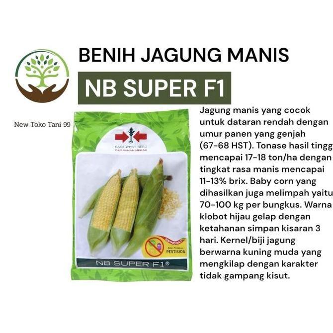 TERMURAH - Benih jagung NB super F1 1750 butir benih jagung manis nbsuper dari panah merah jagung ma