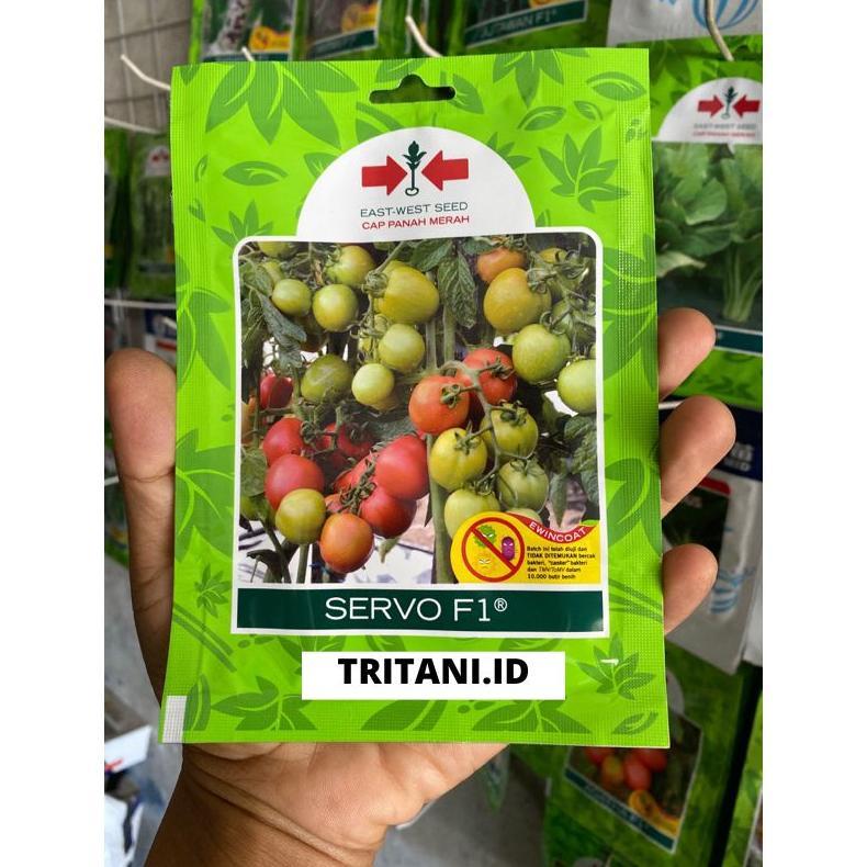 Benih Tomat Servo f1 Panah Merah  isi 150 biji