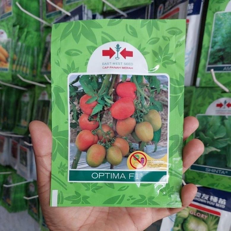 Benih Tomat Optima F1 Besar 5gr Tahan Penyakit