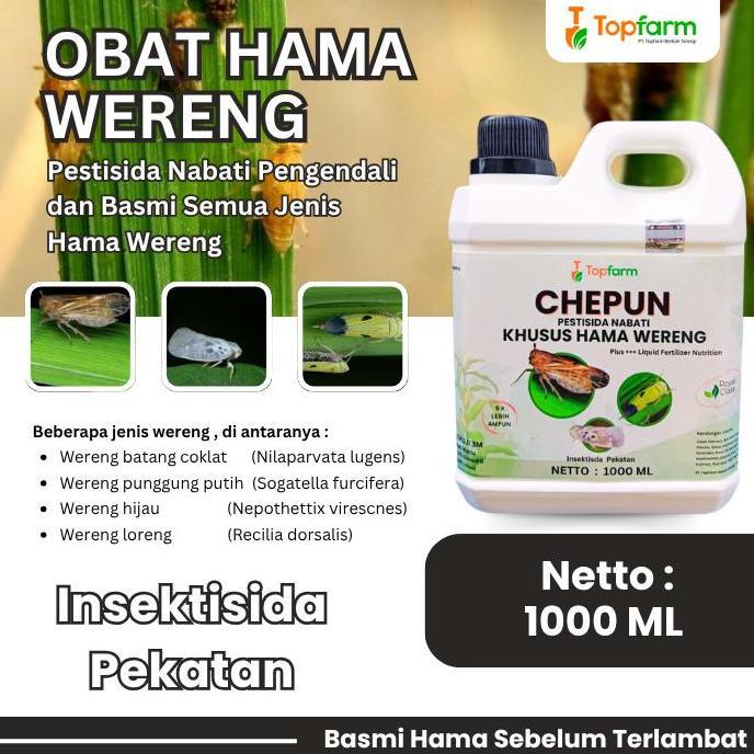 Lansungkirim- Obat Wereng Padi - Obat Wereng Paling Ampuh / Obat Hama Wereng / Obat Wereng Pada Tana