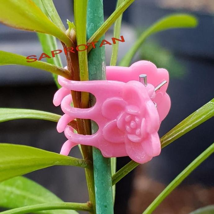 Gardendrm- 10 Pcs Tongkat  Stik Alat Penyangga Tanaman Hias Anggrek Bunga 80 Cm