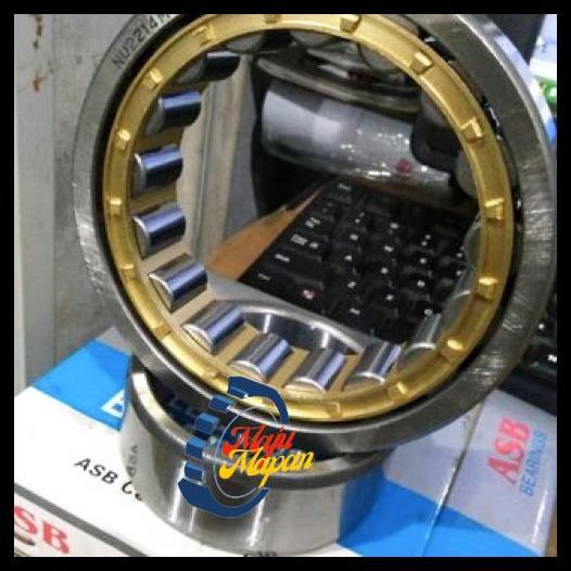TERLARIS CYLINDRICAL ROLLER BEARING ASB NU 202 M 