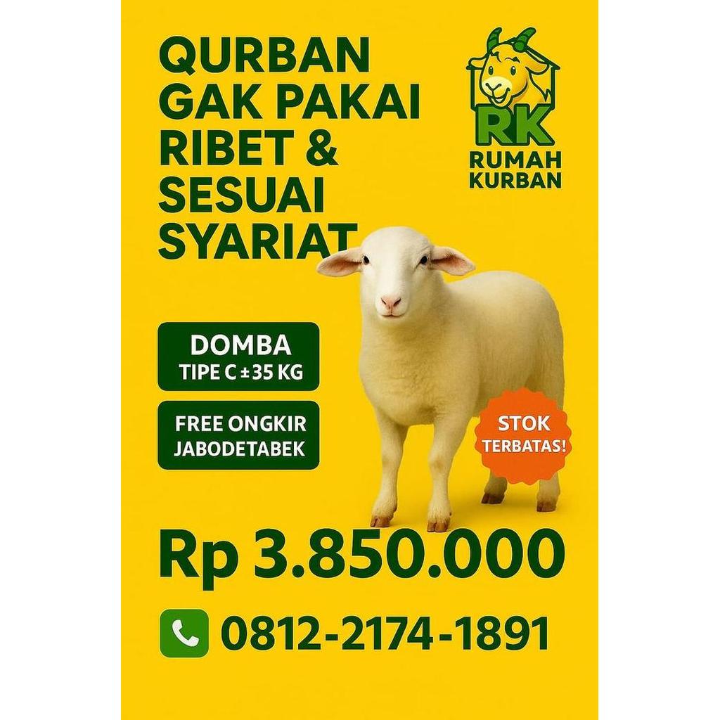 Terlaris Domba Kurban Murah Jakarta Utara Dan Bekasi