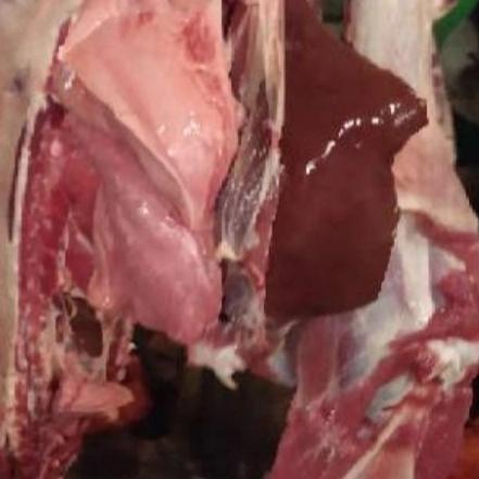 Terlaris Daging Kambing Muda Segar 1 Kg