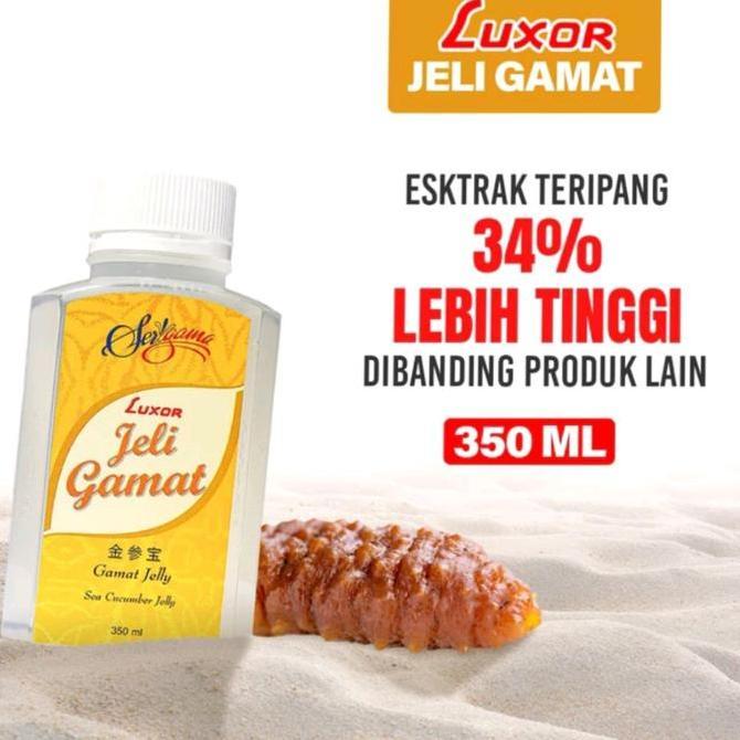 jeli gamat luxor-jelly gamat luxor-radang sendi-diabetes