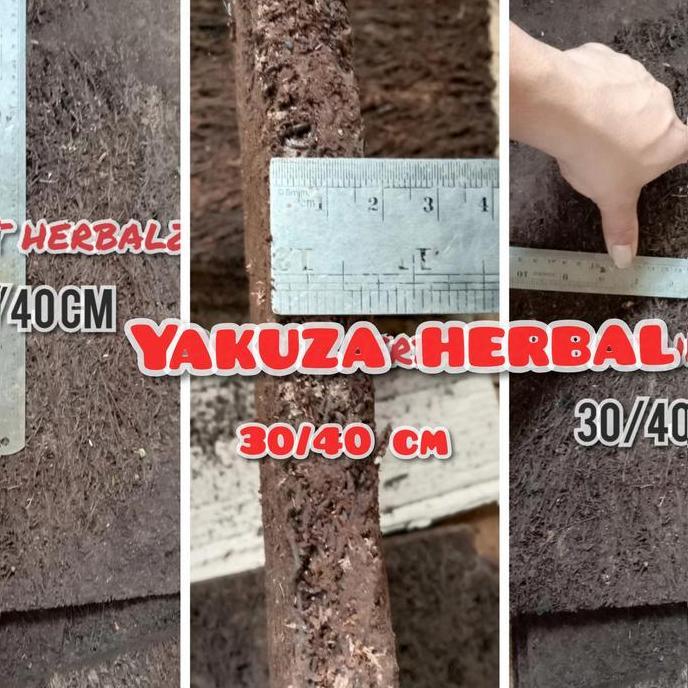 papan pakis lempeng ukuran besar 30X40