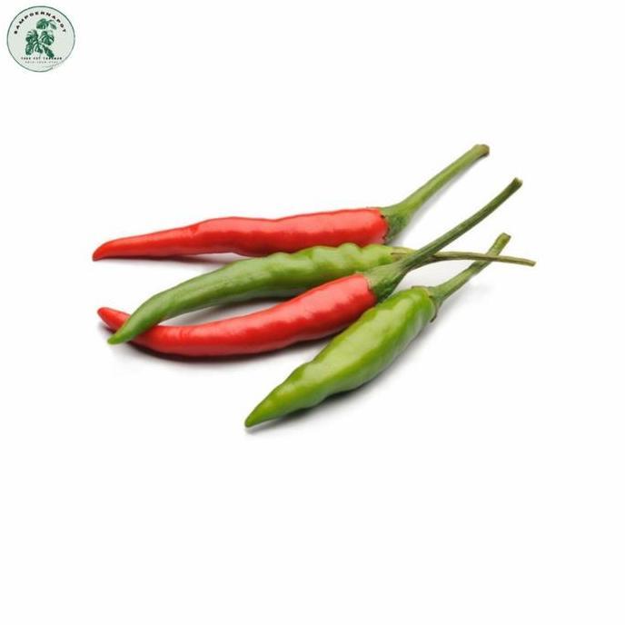 Gardensw- Benih Bibit Cabai Rawit Bara Cap Panah Merah - Cabai Rawit Bara
