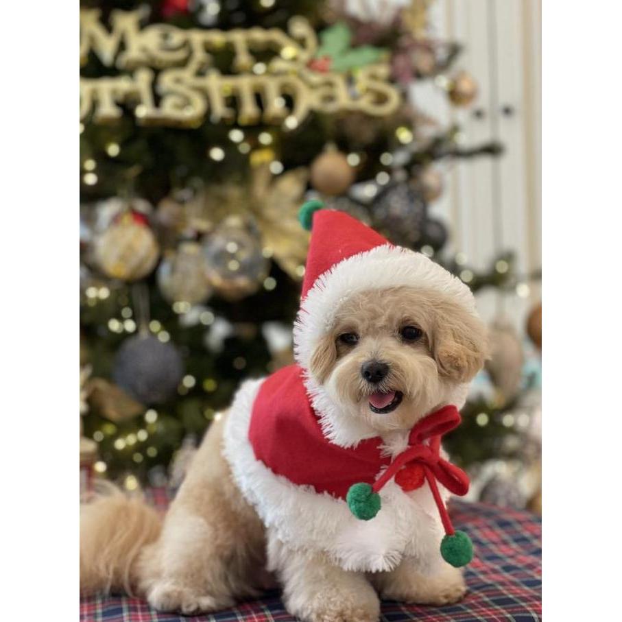 Orcix- Baju Doggy Natal Christmas Super Quality Red Cape Pawpawsome Projects